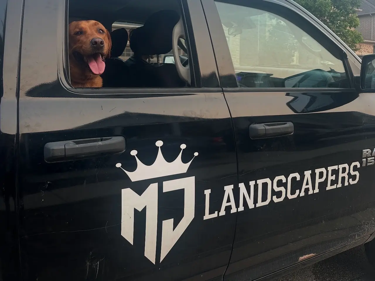 MJ Landscapers truck with a dog looking out the driver's window