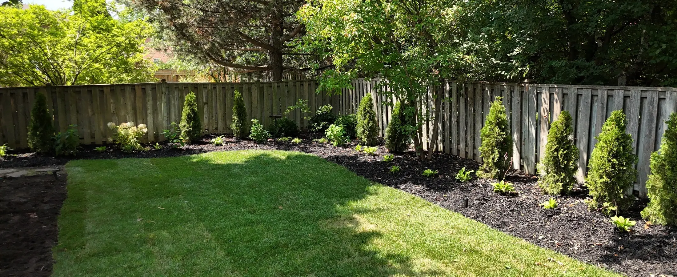 Lawn edged by mulched garden beds and young cedars along a fence