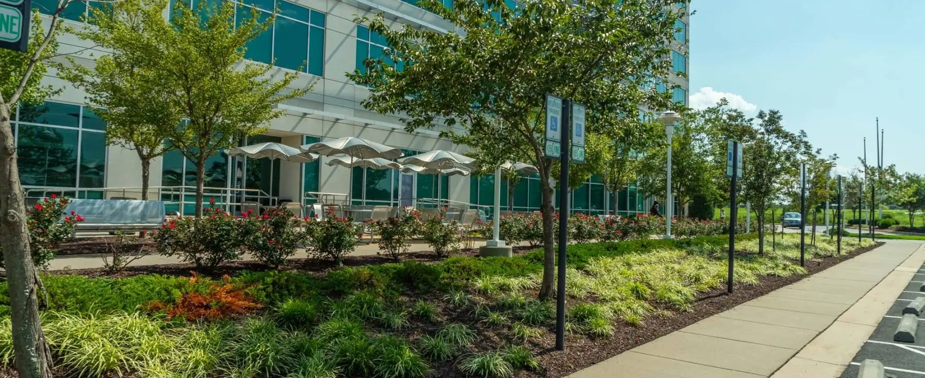 Planted beds and trees MJ maintains along an office parking lot