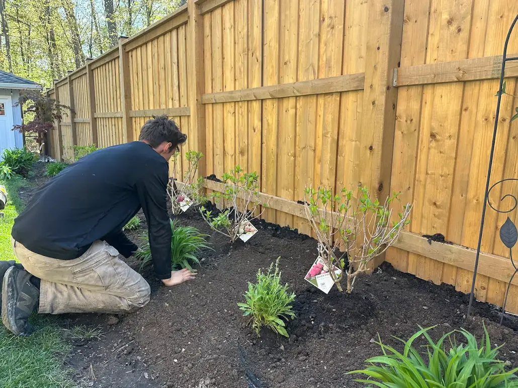 Crew member planting along a wood fence
