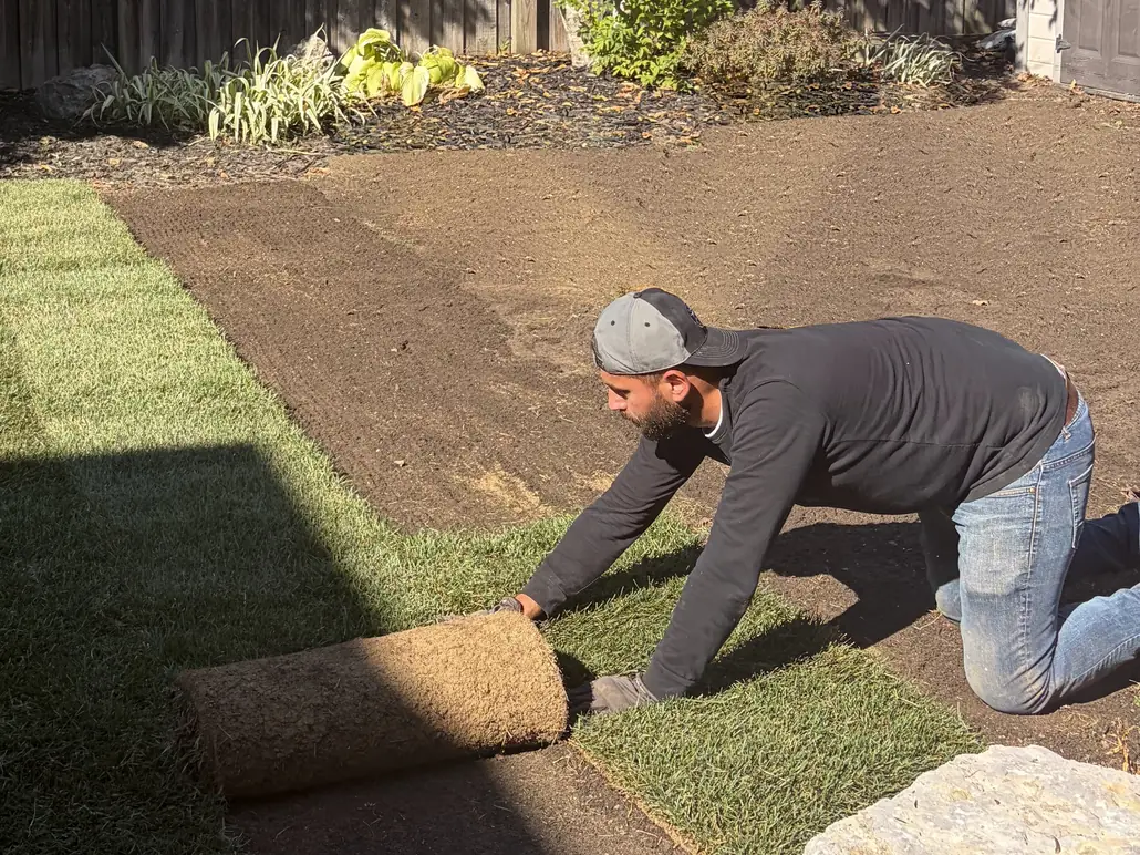 MJ Landscapers crew laying new sod in a backyard